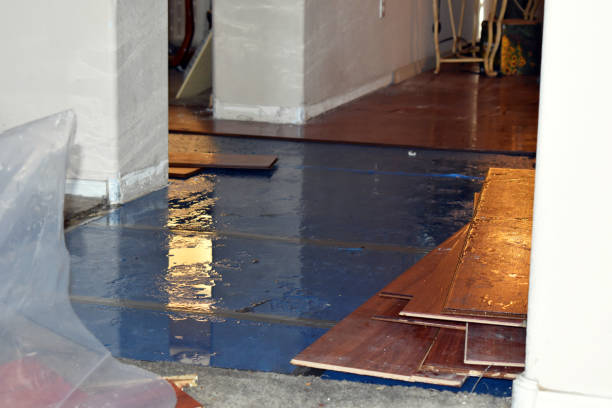 Professional Water Damage Restoration technician working in Newfields, NH
